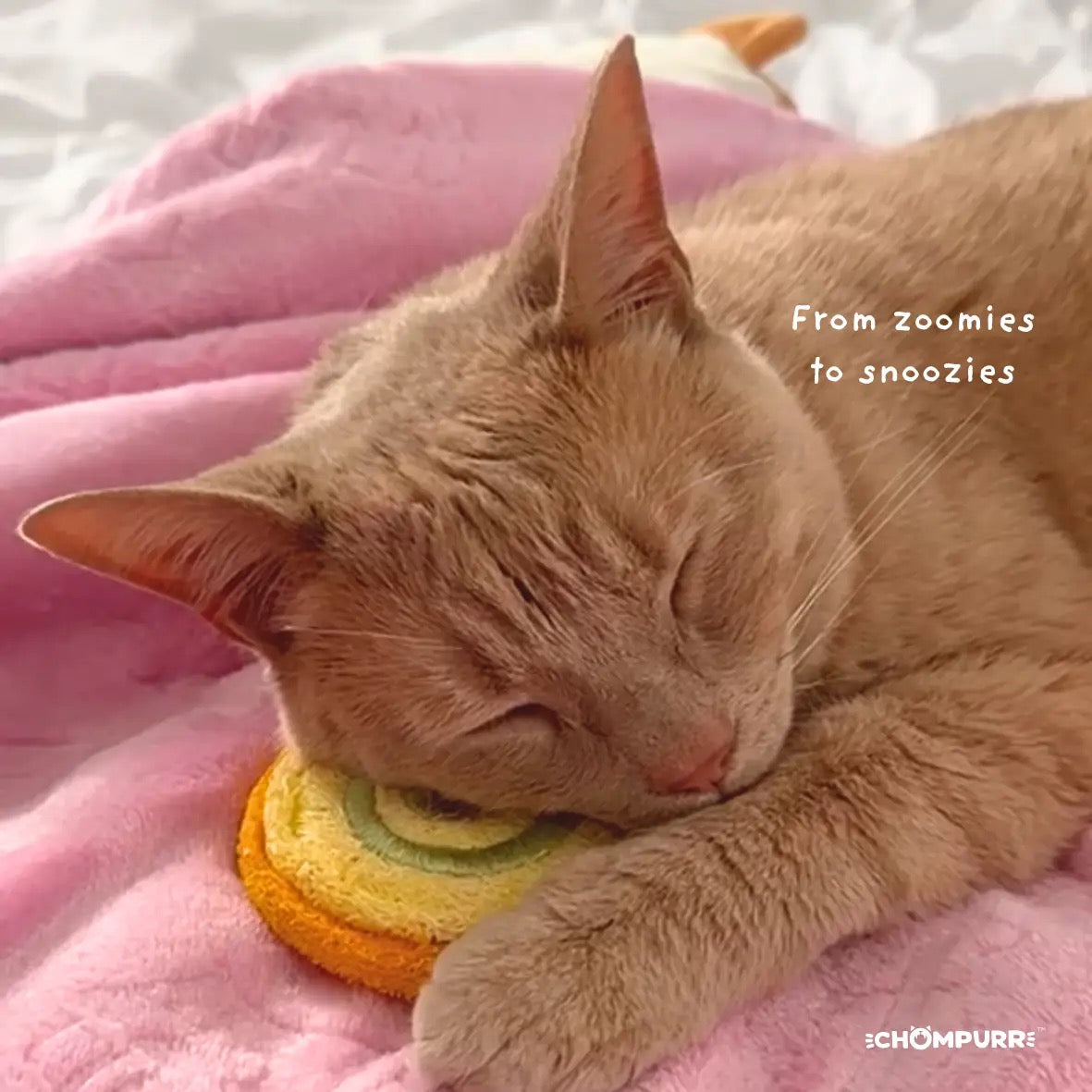 Chompurr Butter Nibbles