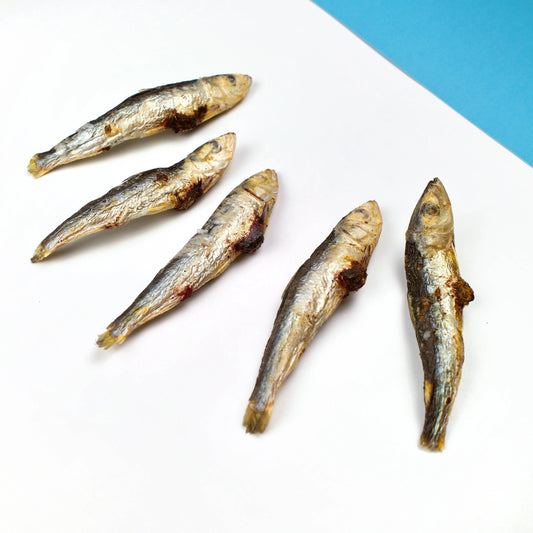 Wiggly Babies Wild Caught Sardine Freeze Dried Raw