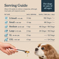 Load image into Gallery viewer, Fera Pets – Fish Oil for Small Dogs & Cats, Liquid – 8oz
