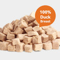 Load image into Gallery viewer, RANOVA Freeze-Dried Duck Cat Treat 115g
