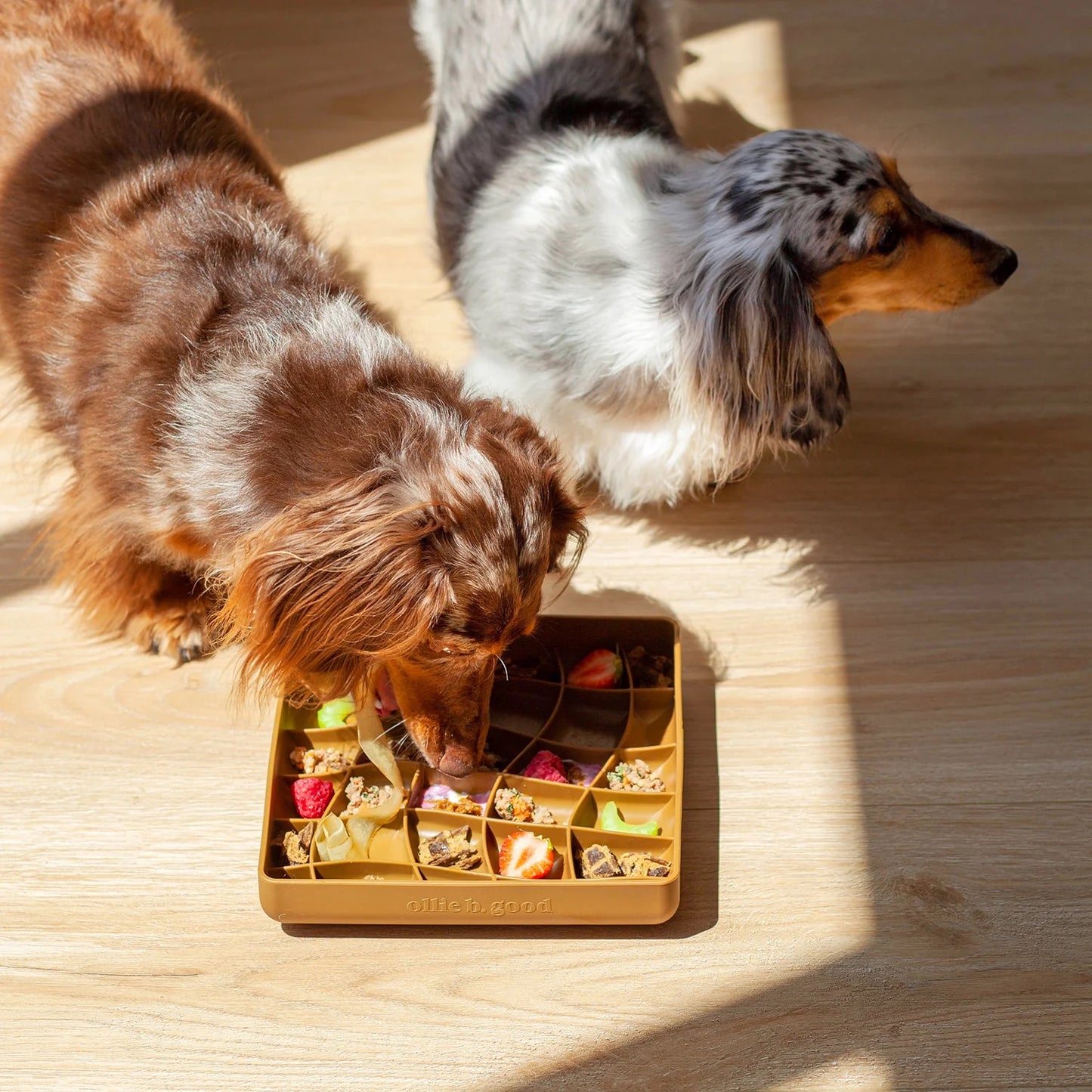 OLLIE B. GOOD wavies slow feeder bowl | carob