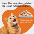 Load image into Gallery viewer, RANOVA Freeze-Dried Duck Cat Treat 115g
