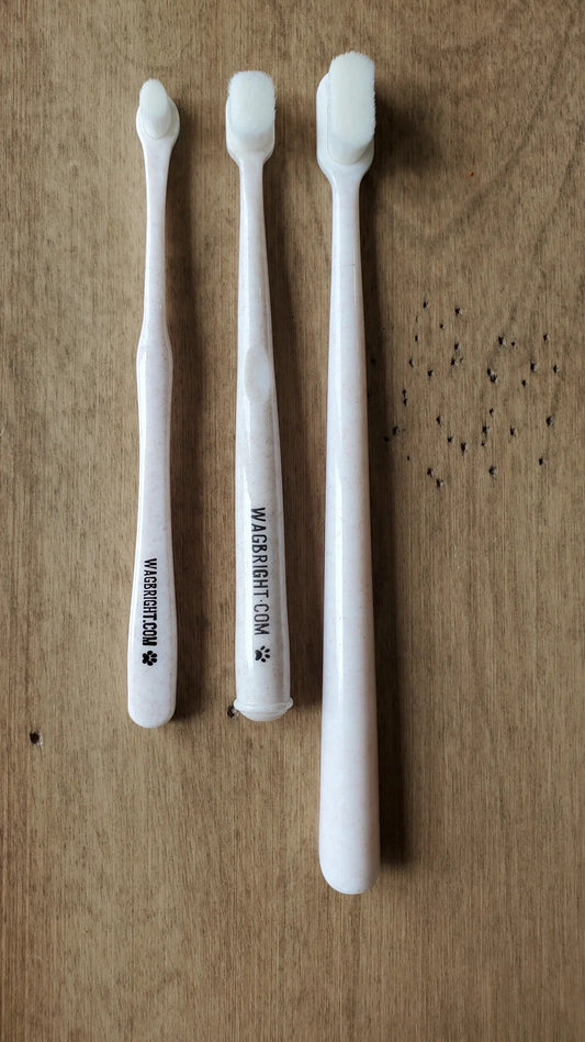 Wag & Bright Polisher Eco Toothbrush