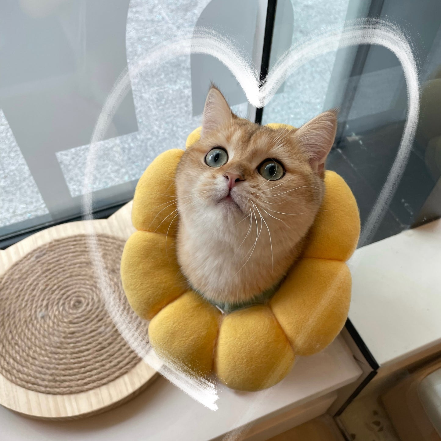 HASHBROWN（薯饼）