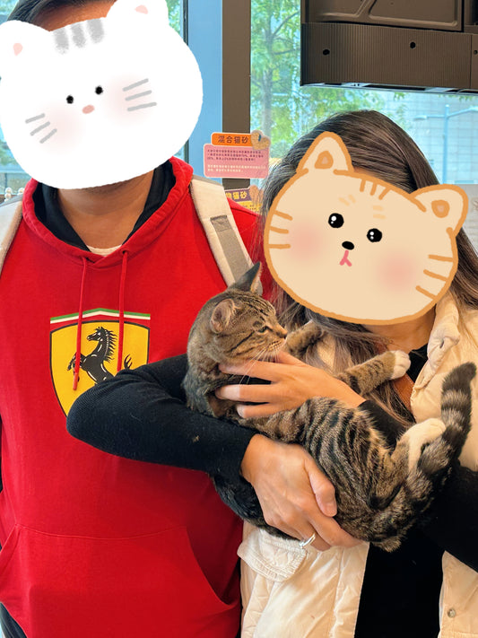 Walnut（ADOPTED）