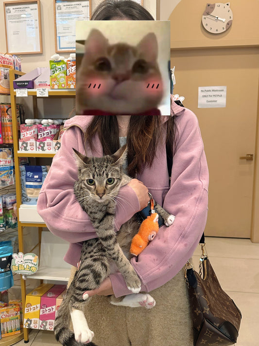 Fable（ADOPTED）