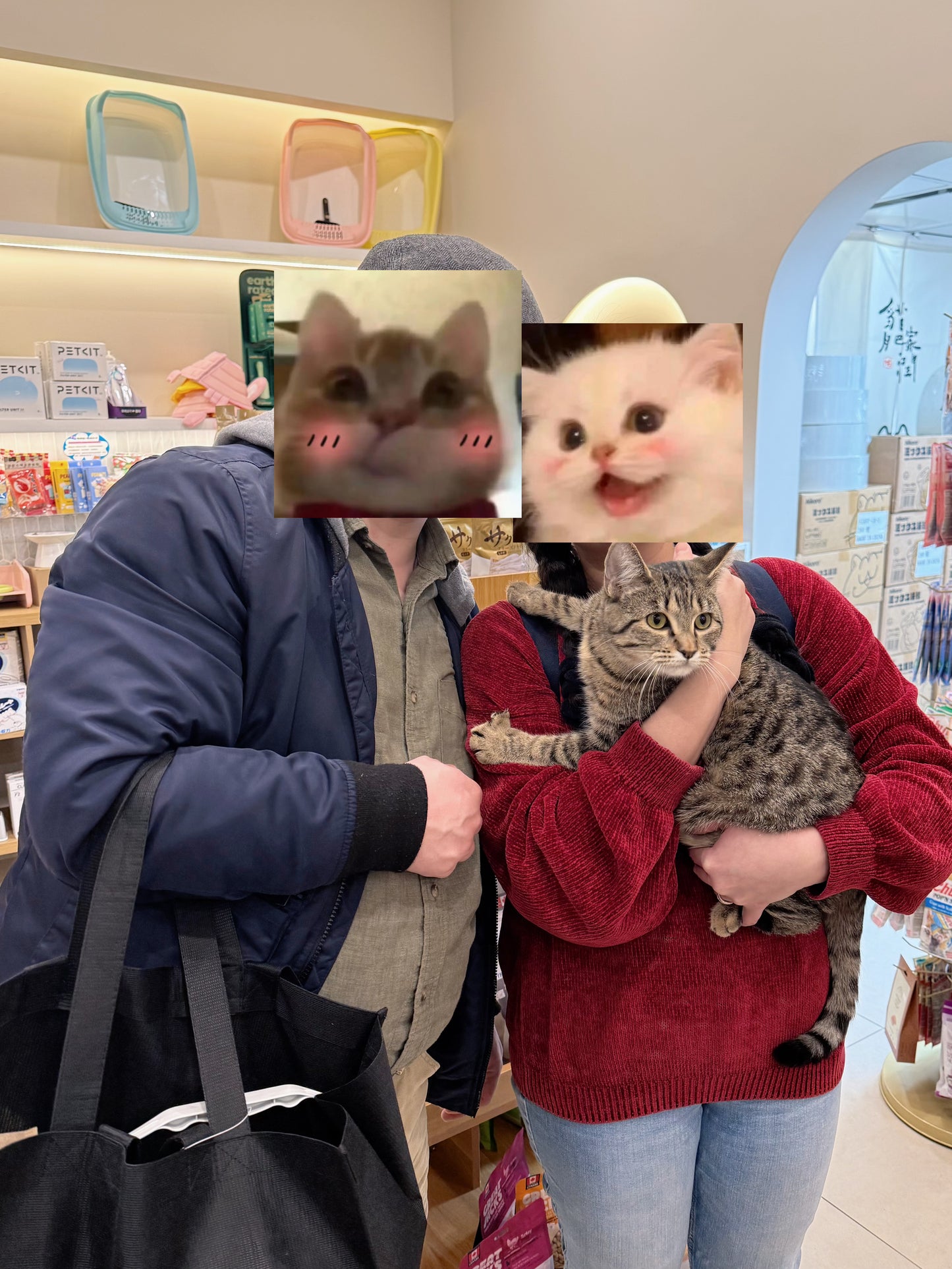 Hazelnut（ADOPTED）