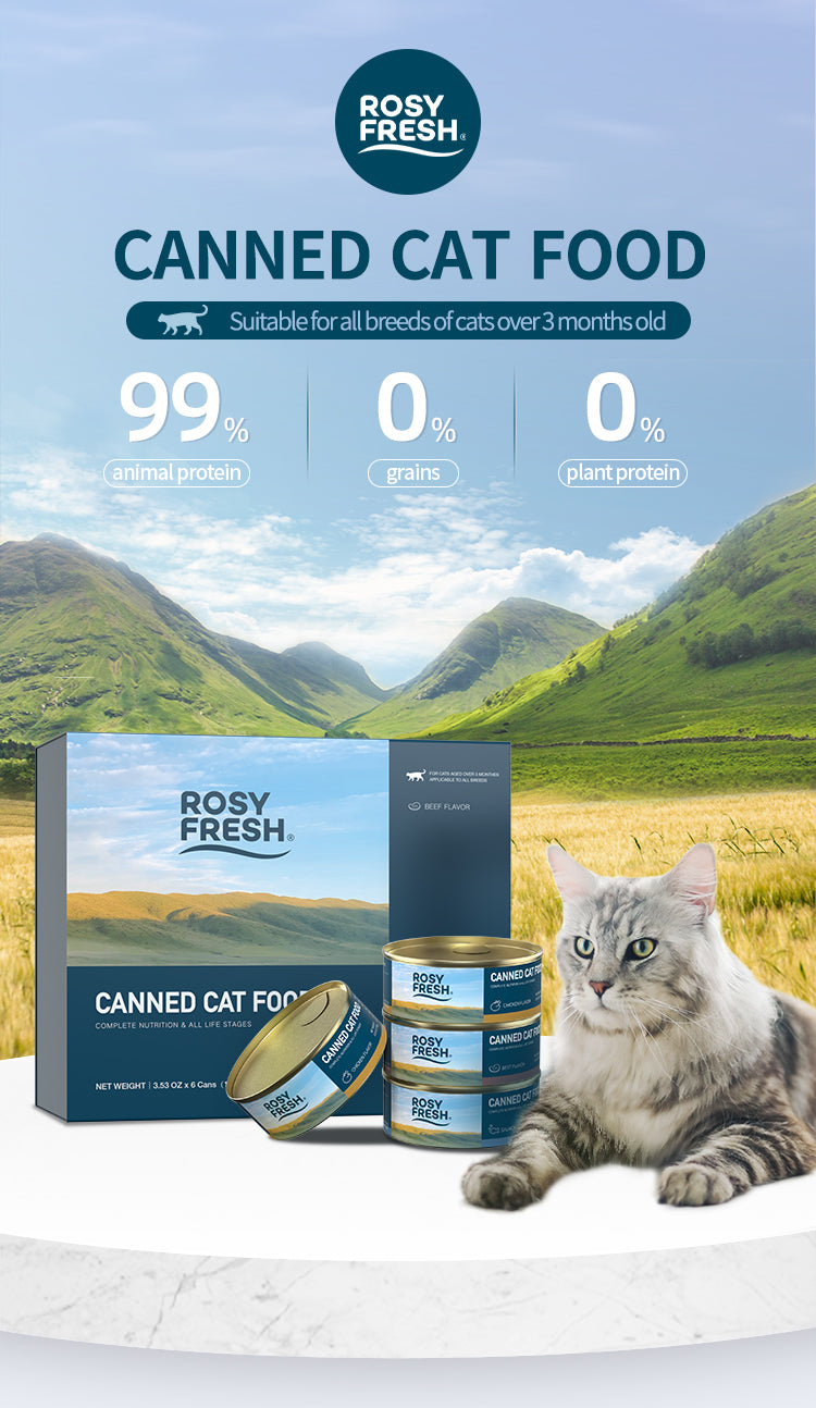 Rosy Fresh Canned Cat Food Set 6*100g