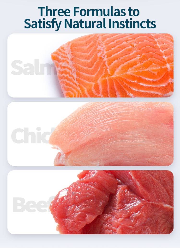 Rosy Fresh Canned Cat Food Set 6*100g