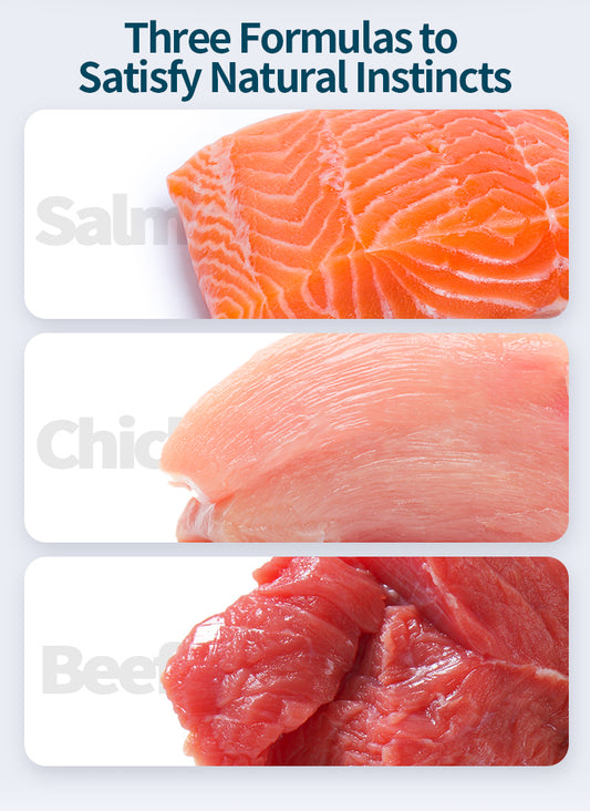 Rosy Fresh Canned Cat Food Set 6*100g