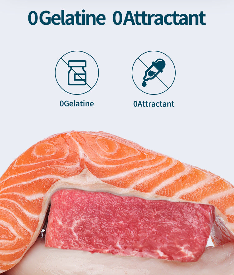 Rosy Fresh Canned Cat Food Set 6*100g