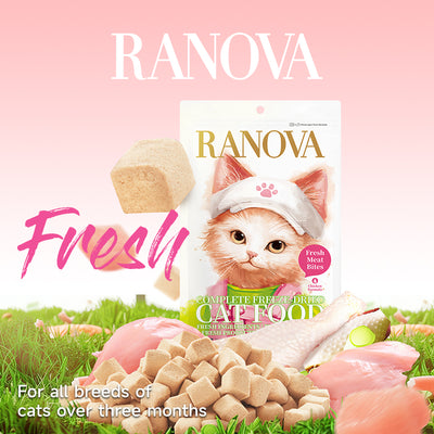 RANOVA - Freeze Dried Cat Food Fresh Meat Chicken 100g