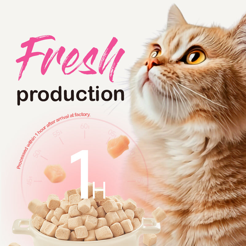 RANOVA - Freeze Dried Cat Food Fresh Meat Chicken 100g