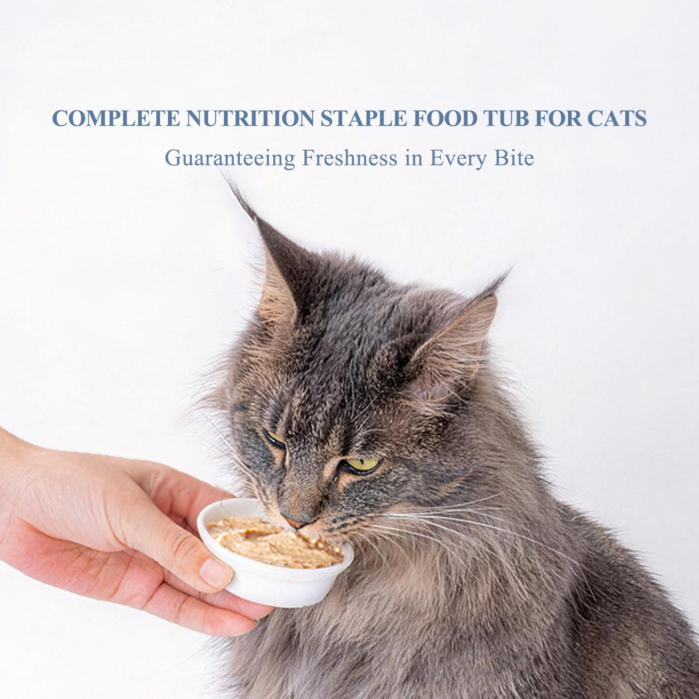 Rosy Fresh Cat Wet Food - Assorted Pack 8pc