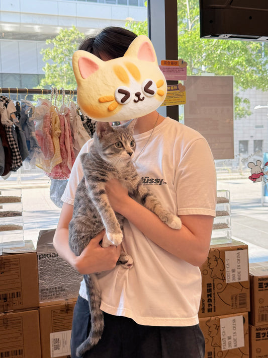 Coconut（ADOPTED）