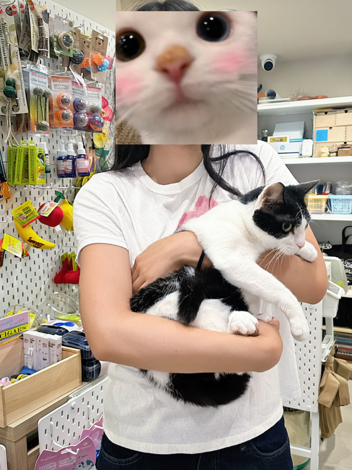 Pocket（ADOPTED）