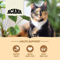 Load image into Gallery viewer, Acana Cat Homestead Harvest
