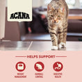 Load image into Gallery viewer, Acana Cat Indoor Entrée
