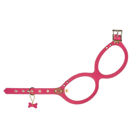 Buddy Belt Harnesses – Limited Edition