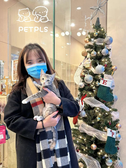Rotini（ADOPTED）
