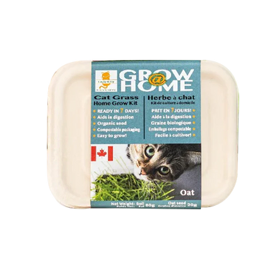 Lucky Kitty - Grow at Home Cat Grass Oat seed